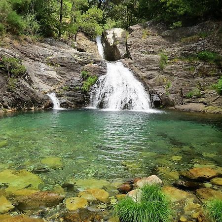 Serra De Arga Mountain House Montaria Экстерьер фото